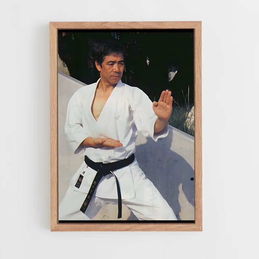 Poster Esprit de Karaté (vue 4)